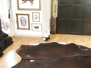 Alissa Noir - Beim Zocken vom Mitbewohner anal zerfickt