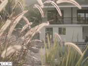 Manuel ferrara can't stop fucking