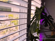 Madison Ivy - Deep clean