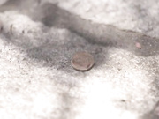 Kenna James, Madi Collins 2022