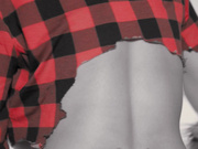 T3$$4 F0wl3r - The Big bad Wolf