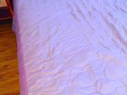 bella_snake 11072022 2