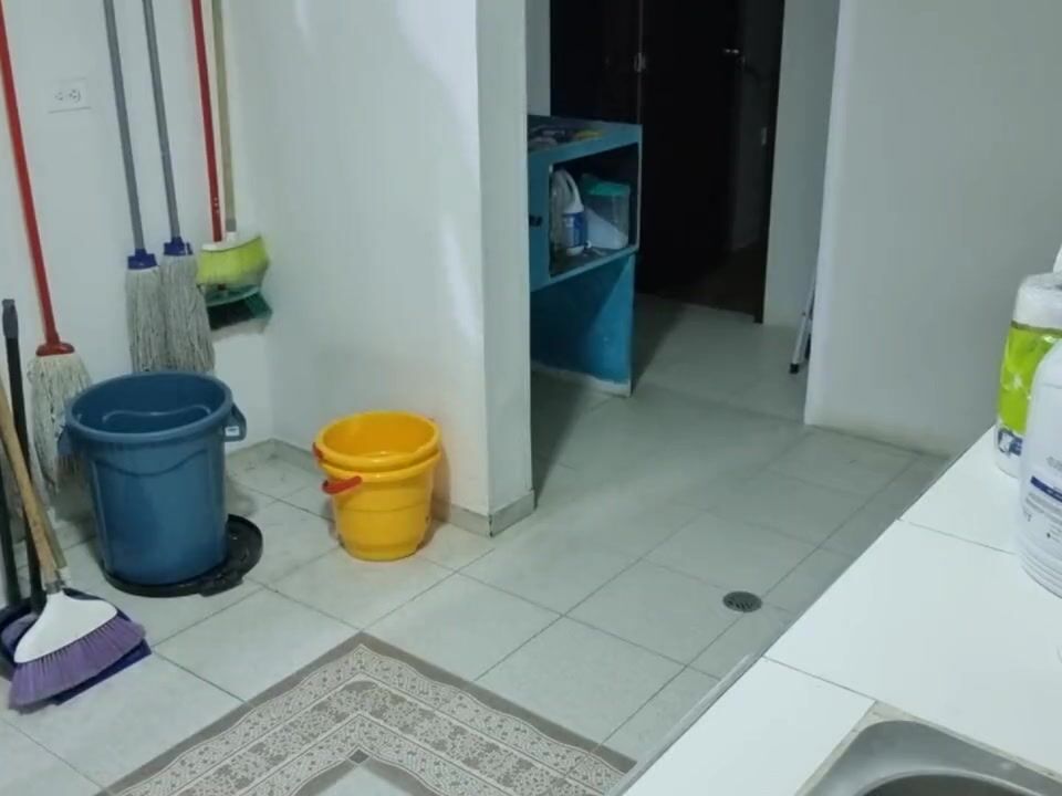 Cogiendo en la cocina