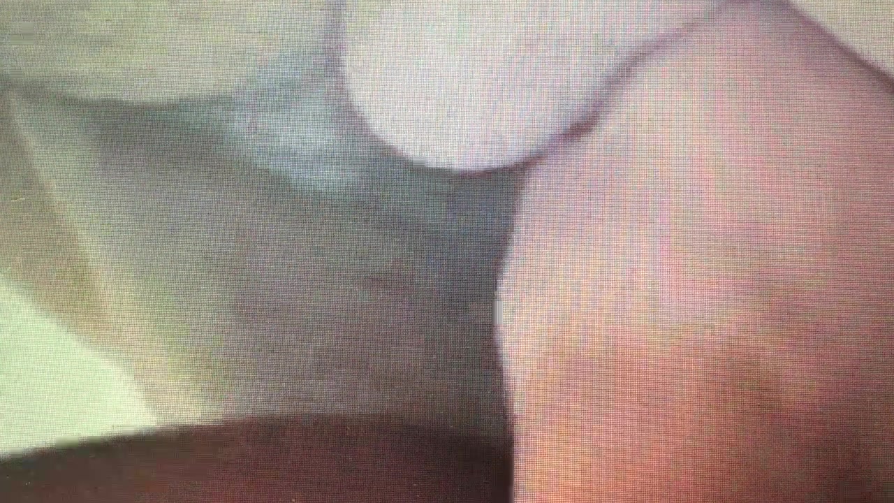 Georgina petrushinova