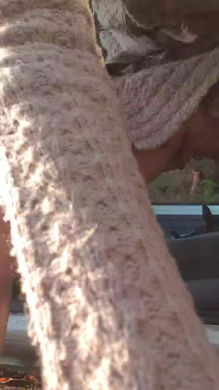 Naikah car ride